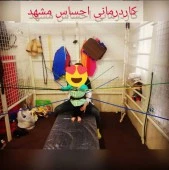 آرزو آسمانی محمداباد